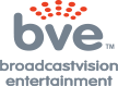 BROADCASTVISION BROADCASTVISION